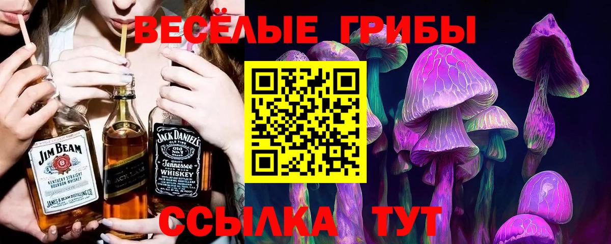 Димитровград  Псилоцибиновые грибы мухоморы  Вход с VPN 
