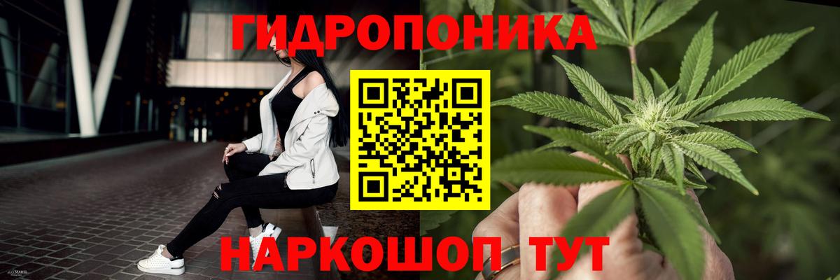 Бошки Шишки конопля Димитровград
